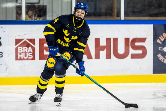 Pelle Ytfeldt