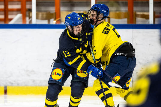 Ted Burström och Malte Liljegren
