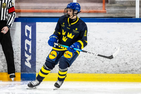 Oliver Hammerman