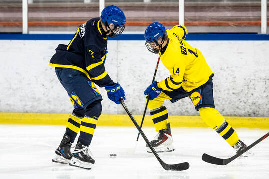 Jacob Ternqvist och Leon Roos