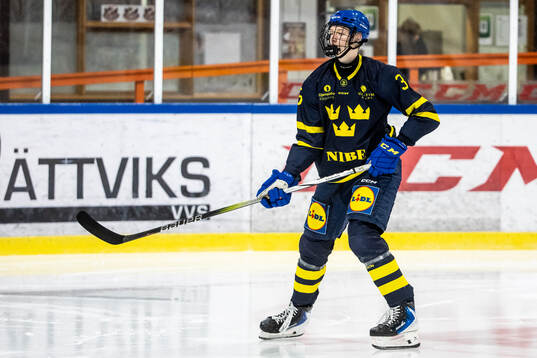 Anton Toivola Henriksson