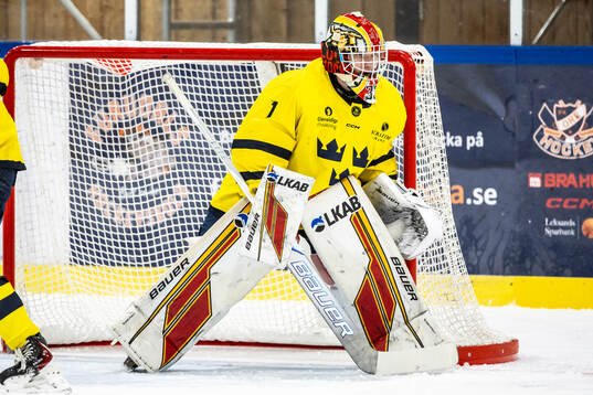 Harry Fjellström