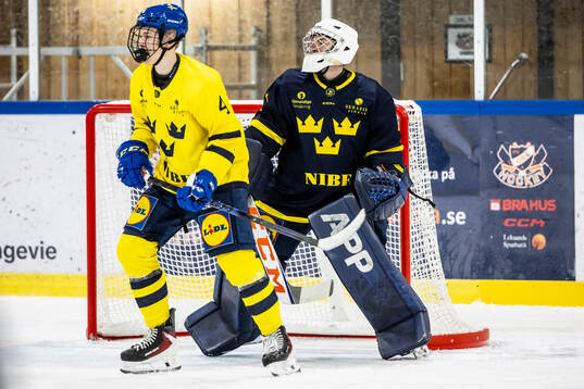 Ruben Johansson och Axel Sjulander