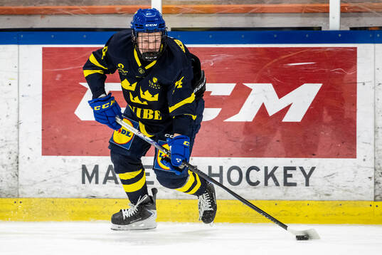 Joakim Dahl