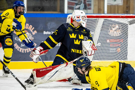 Manne Holmkvist