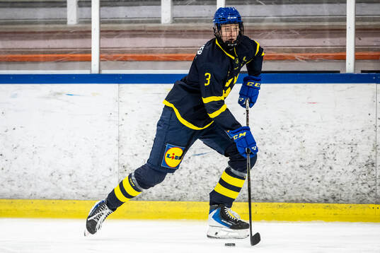Anton Toivola Henriksson