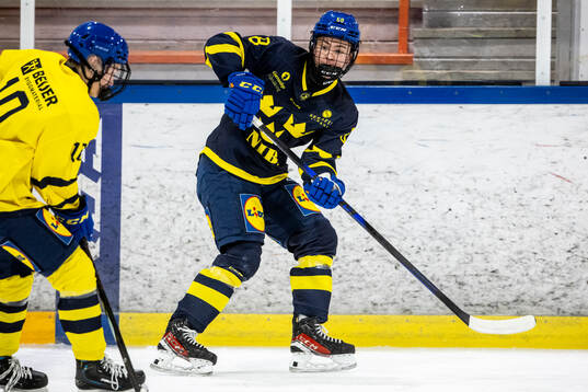 Eric Larsson
