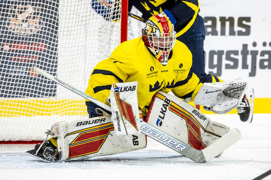 Harry Fjellström