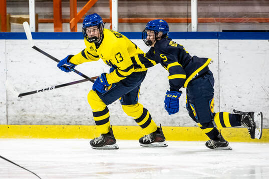 Ludvig Langermo Neuman och Malte Liljegren