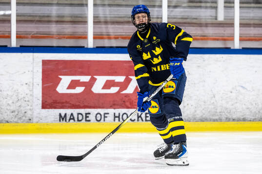 Anton Toivola Henriksson