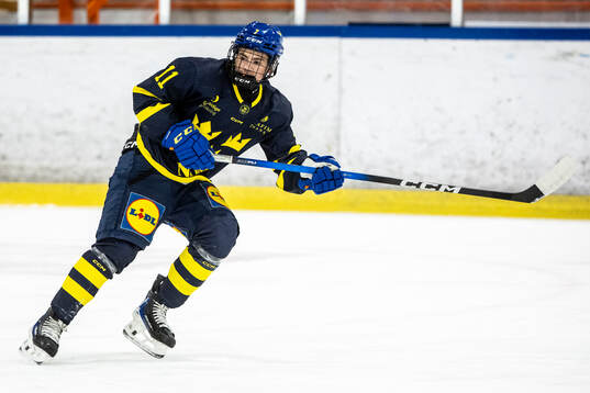 Oliver Hammerman