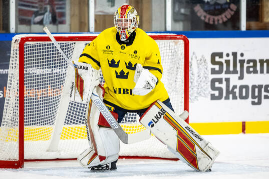 Harry Fjellström