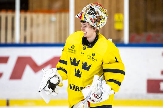 Harry Fjellström