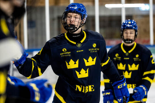 Anton Toivola Henriksson