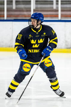 Filip Leijonhielm