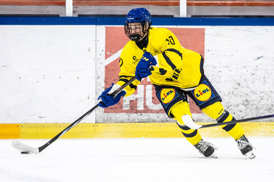Erik Larsson