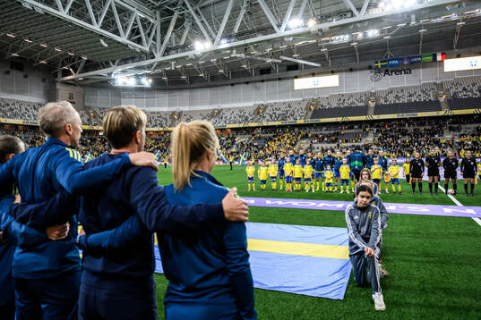 Players of Sweden