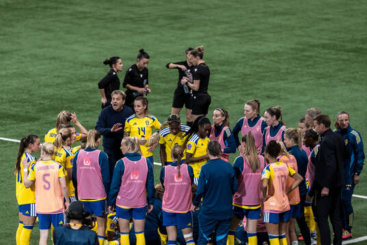 Head coach Tony Gustavsson of Sweden
