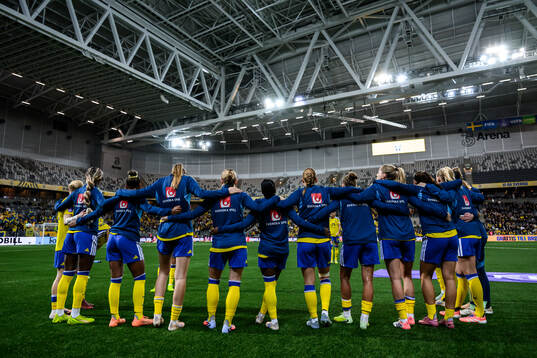Players of Sweden