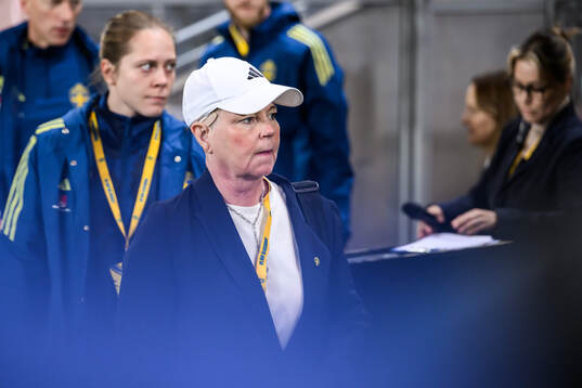 Senior Advisor Marika Domanski Lyfors of Sweden