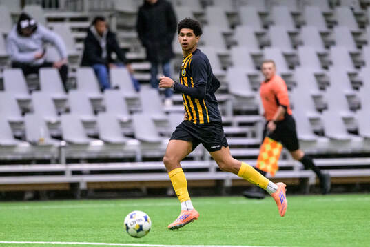 Hammarbys Adrian Salvador