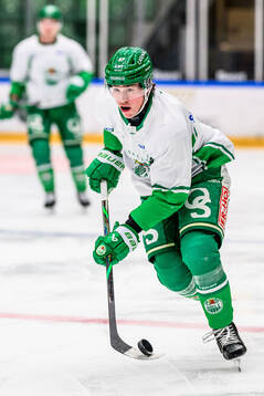 Albin Sundsvik