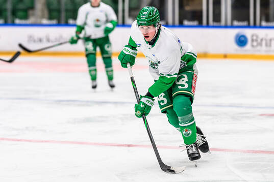 Albin Sundsvik