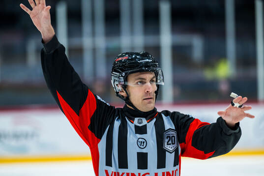 Domare Niclas Lundsgaard