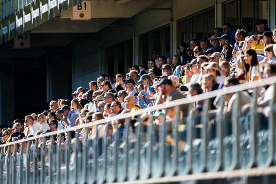 Spectators in the stands