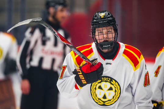 Brynäs Anna Brenkle