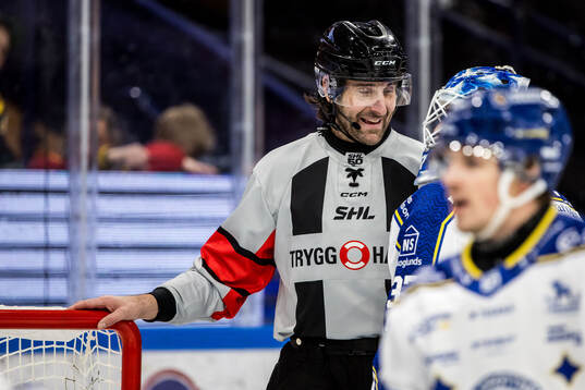 Domare Mikael Sjöqvist