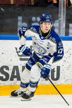 Leksands Dennis Altörn
