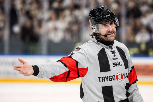 Domare Mikael Sjöqvist
