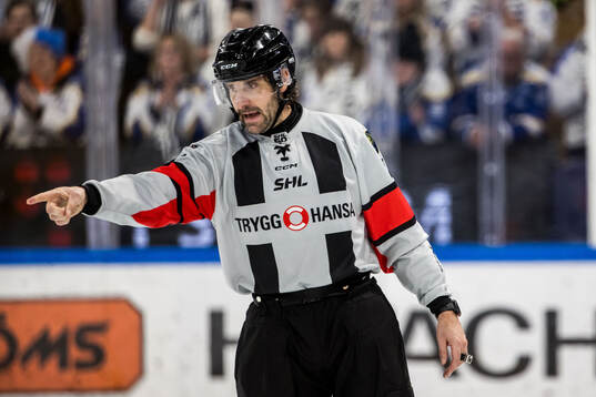 Domare Mikael Sjöqvist