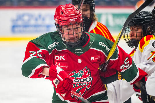Modos Maja Grundström