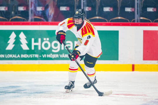 Brynäs Oona Koukkula