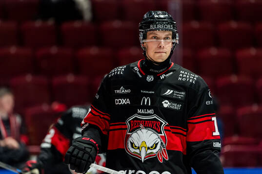 Malmö Redhawks William Von Barnekow