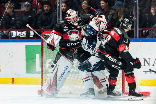 Linköpings Max Martin och Malmö Redhawks målvakt Marek