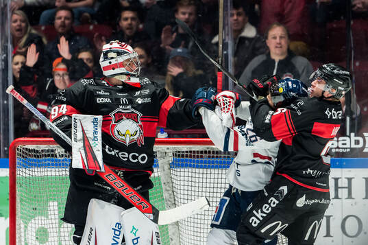 Linköpings Max Martin och Malmö Redhawks målvakt Marek
