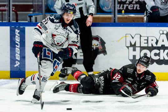 Linköpings Markus Ljungh och Malmö Redhawks Linus Öberg