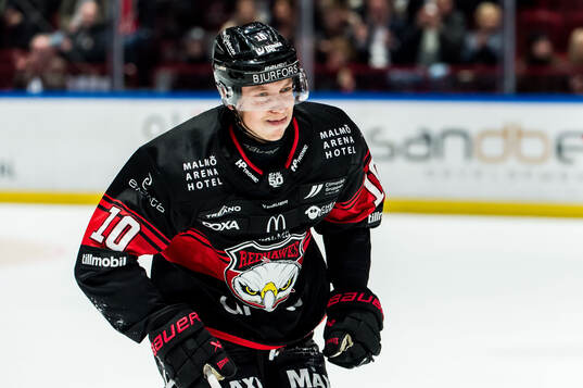 Malmö Redhawks William Von Barnekow lämnar isen