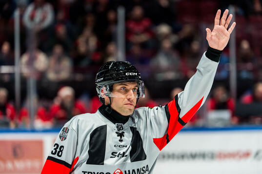 Domare Cedric Borga