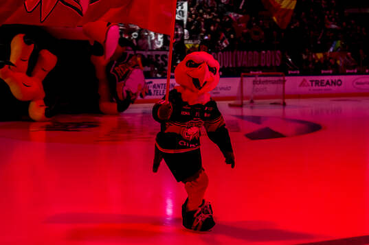 under ishockeymatchen i SHL mellan Malmö Redhawks och