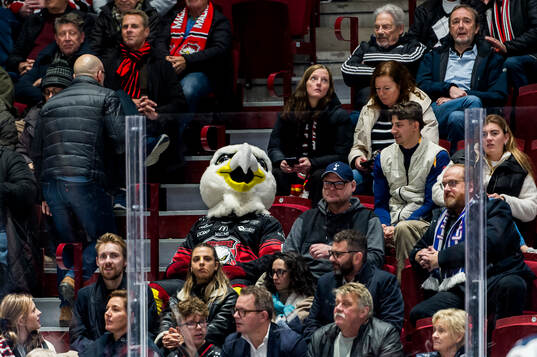Malmö Redhawks maskot Hawkan