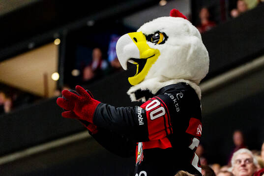 Malmö Redhawks maskot Hawkan