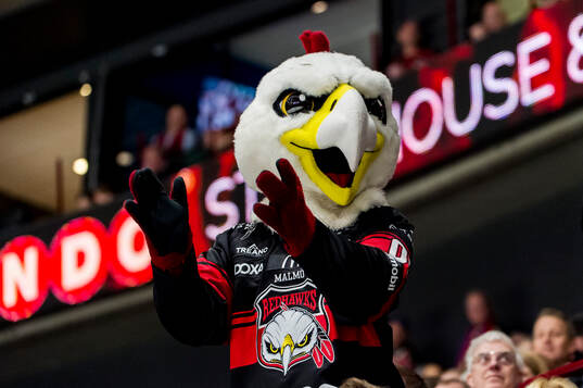 Malmö Redhawks maskot Hawkan