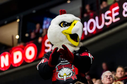 Malmö Redhawks maskot Hawkan