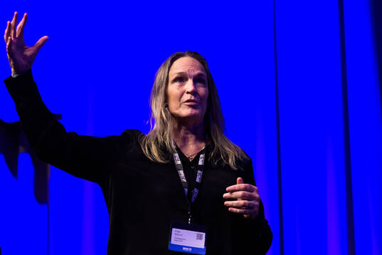 Frida Boklund, moderator