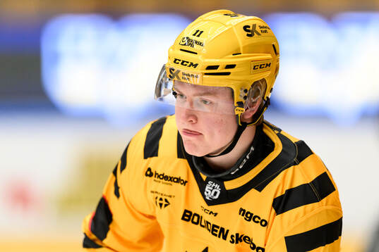 Skellefteås Theo Landström