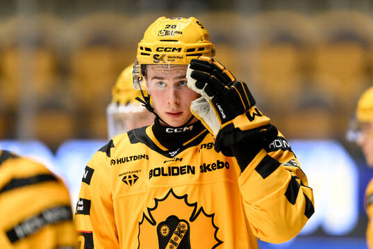 Skellefteås Zeb Lindgren